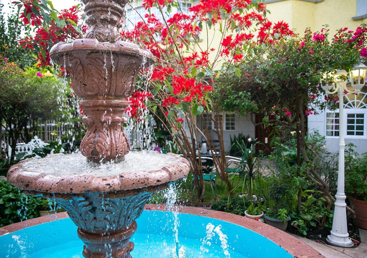 Casa San Pedro Bed and Breakfast Mexico-stad Buitenkant foto