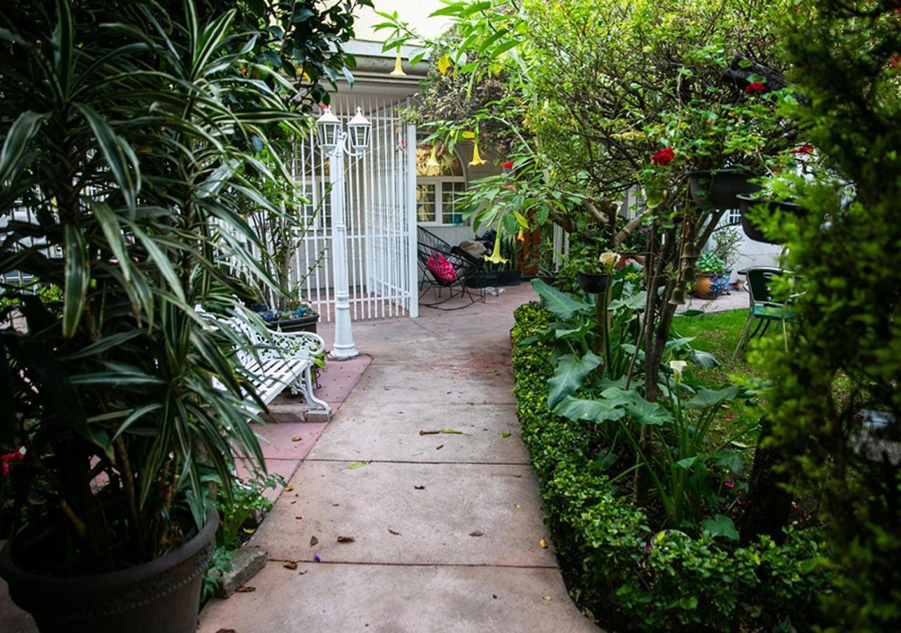 Casa San Pedro Bed and Breakfast Mexico-stad Buitenkant foto